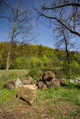 Fototapeta premium Large sandstone blocks in the grass