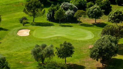 Fototapeta premium High-angle aerial view of a vibrant green golf putting green with a tan sand bunker, and a backdrop of lush leafy trees under the bright, clear glow of summer afternoon light. The golf club is empty.