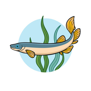 Cartoon pike fish swimming in clear blue water with green seaweed illustration