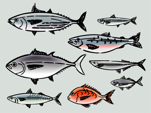 手描きペンタッチお魚イラストセット