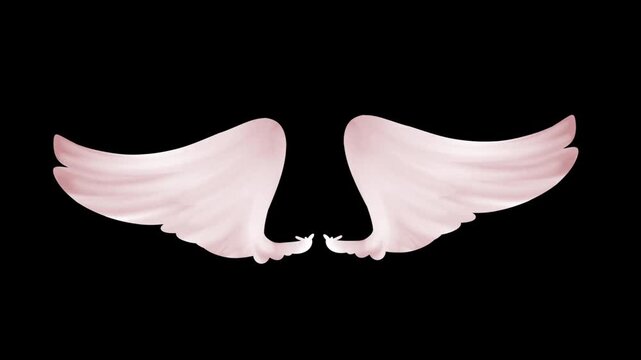 White Wings Flapping Animation, 2D Cartoon Style Loop
