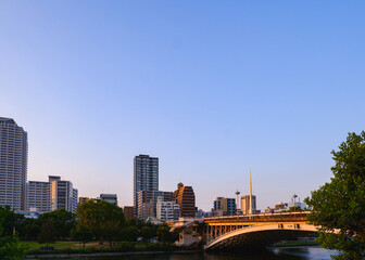 Naklejka premium 夕日に照らされる橋と都会のビル群 黄金色の風景
