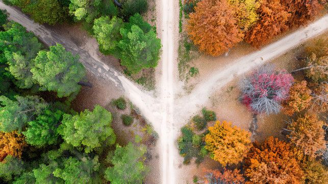 pivotal. Aerial view of a forked path in an autumn forest, representing pivotal life choices. representing seasonal cycles and harvest abundance.
