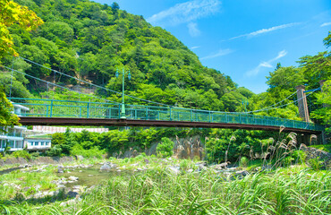 Fototapeta premium 栃木県那須塩原市 塩原温泉を流れる箒川に架かる山ゆりの吊橋