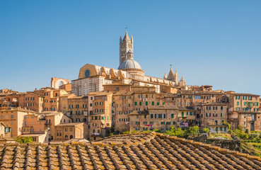 Fototapeta premium Siena, medieval town in Tuscany view of the Dome and Bell Tower of Siena Cathedral, Basilica of San Domenico, Italy