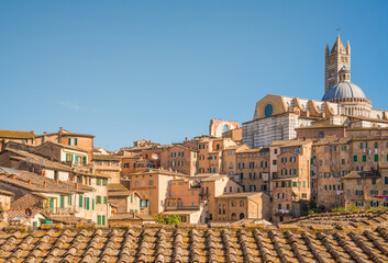 Fototapeta premium Siena, medieval town in Tuscany view of the Dome and Bell Tower of Siena Cathedral, Basilica of San Domenico, Italy