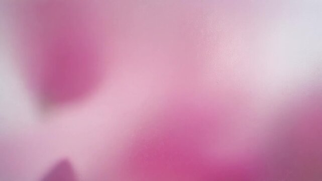 すりガラス越しに揺れる桜ピンクの花びらの幻想的で抽象的な背景映像