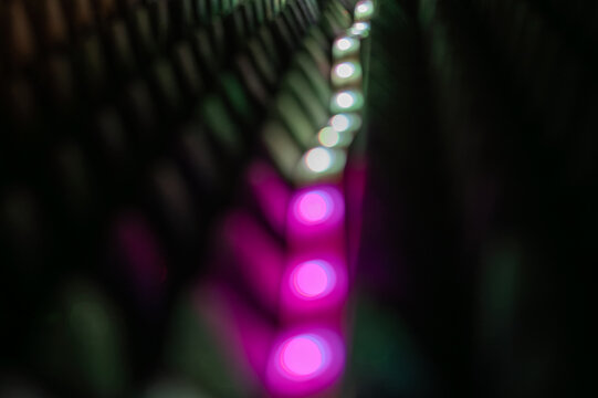 Blurred pink and white LED lights