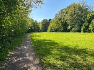 Fototapeta premium path in the park