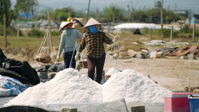 Vietnam workers carrying baskets of salt at the hon khoi salt fields in vietnam