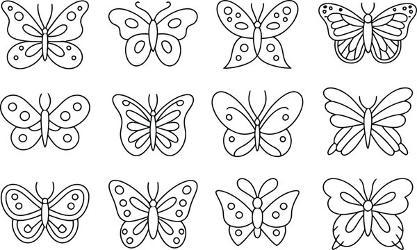 Butterfly line drawings collection of twelve black and white sketches