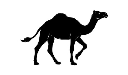 Walking camel black silhouette hand drawn vector illustration isolated desert animal design © Mousumi