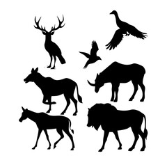 Fototapeta premium Black silhouettes of various wild animals