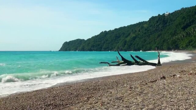 The beauty of a calming tropical beach with a combination of clear turquoise sea water and grayish cream sand.