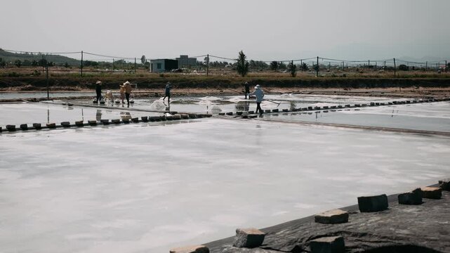 Vietnam workers harvesting salt in traditional rural salt fields in hon khoi, ninh hoa district, vietnam
