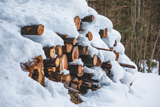 catasta di tronchi di alberi tagliati coperta da fitti strati di neve e lasciati all'aperto, in un bosco di montagna, in inverno