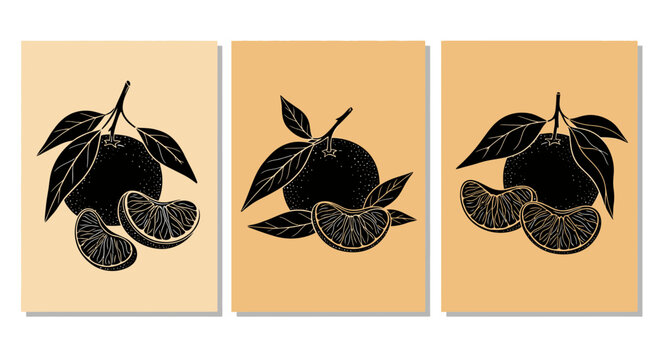 Minimalist Mandarin Orange Silhouettes with Leaves and Segments