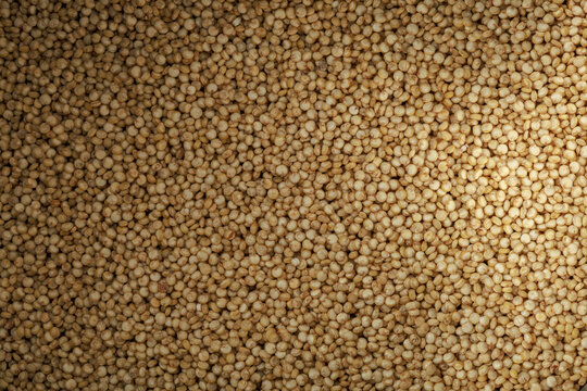 Macro view of quinoa seeds (Chenopodium quinoa) texture background with selective focus