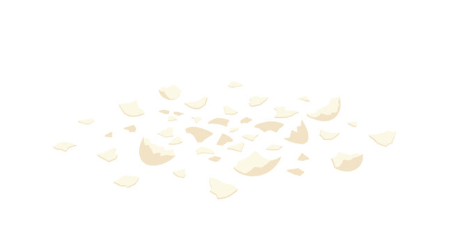 A scattered pile of broken beige eggshell fragments of various sizes and irregular shapes is arranged on a completely plain and bright white background surface.