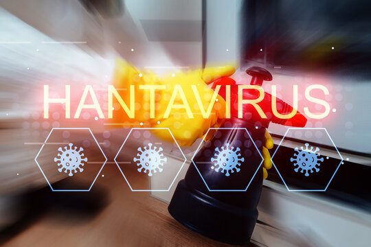 Health warning about hantavirus contamination during cleaning in a kitchen setting