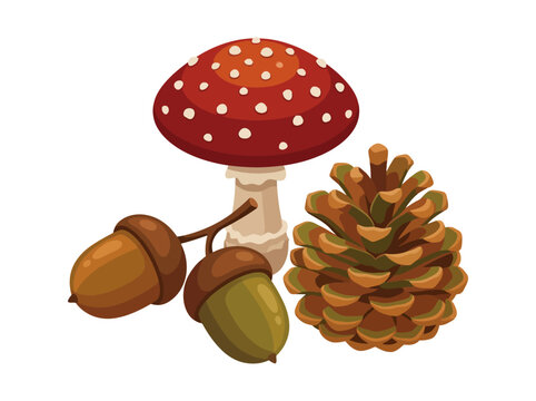 Red fly agaric mushroom with acorns illustration on white background for autumn forest nature concept