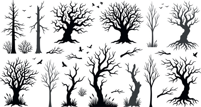 Spooky Leafless Tree Silhouette Collection with Creepy Forest Branches, Haunted Woodland Elements, and Halloween Nature Vector Set