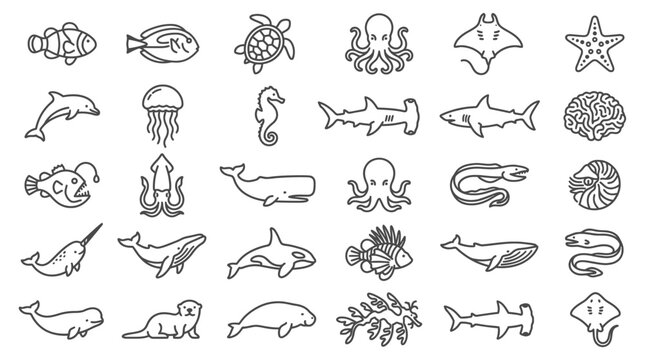 Collection of marine animal silhouettes, including a diverse range of sea creatures like fish, sharks, and whales, perfect for educational or design projects