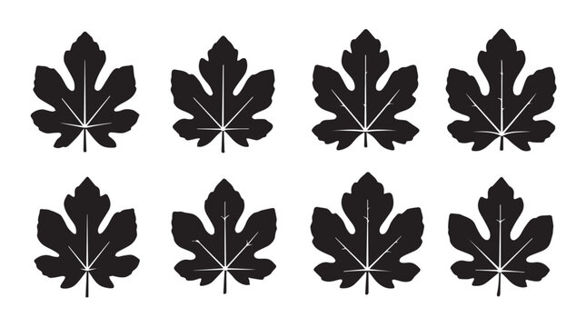 Eight black fig leaves in silhouette against a white background symbolizing nature and autumn