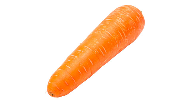 A single fresh raw long orange carrot root ideal for healthy organic cooking recipes, grocery store or agriculture promotion isolated on transparent background cut out