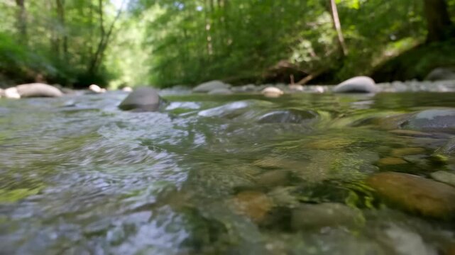 Tracking shot of shallow stream flowing over river rocks with low angle close to water in temperate forest stream bed