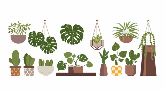 Assorted potted and hanging plants in a minimalist botanical illustration