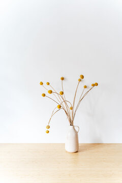Dried craspedia flowers in a small white vase on a wooden table