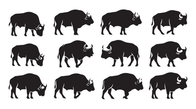 Bison silhouettes in various poses against a white background for graphic design