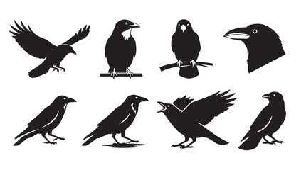 Obraz premium Crow silhouettes in various poses against a white background for graphic design elements