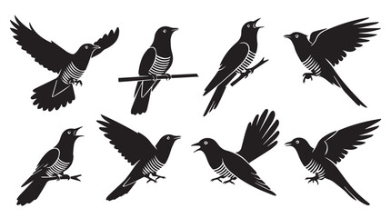 Fototapeta premium Diverse bird silhouettes in flight and perched during daylight against a clean white background