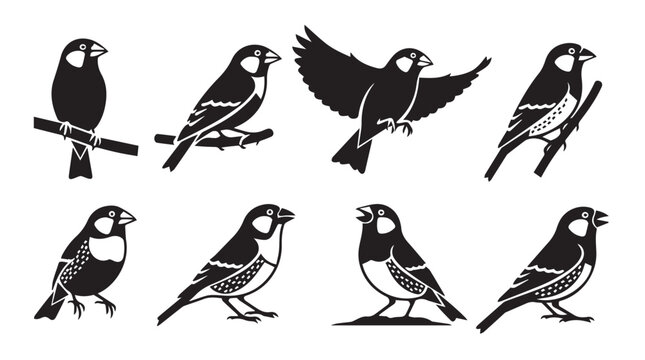 Diverse finch silhouettes in various poses against a white background symbolizing nature and freedom