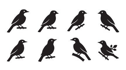 Fototapeta premium Eight small bird silhouettes perched on branches against a white background symbolizing nature and freedom