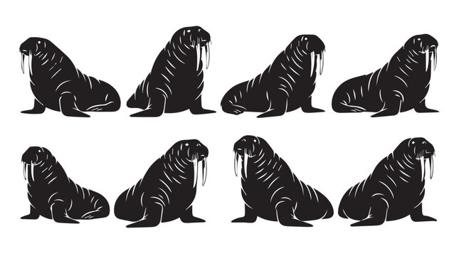 Group of walruses in silhouette against a white background symbolizing marine life and conservation efforts