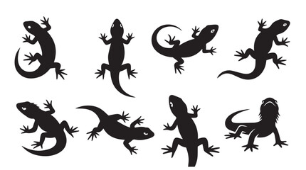 Fototapeta premium Lizard silhouettes in various poses against a clean white background representing wildlife and freedom