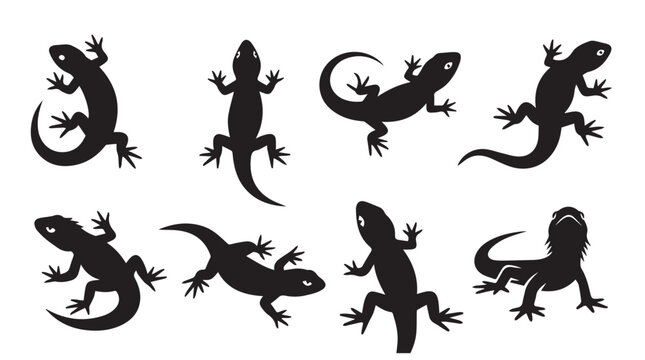 Lizard silhouettes in various poses against a clean white background representing wildlife and freedom