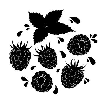 Black and white silhouette of raspberries and mint leaves with juice drops
