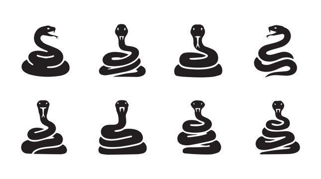 Serpent collection coiled in striking poses against a bright white backdrop in a minimalist silhouette style