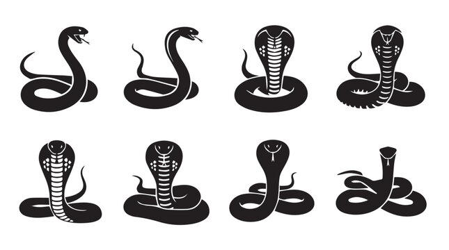 Serpent silhouettes against a bright white background in various coiled and striking poses