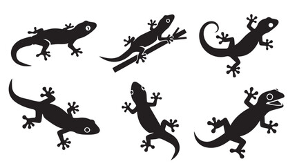 Fototapeta premium Six diverse gecko silhouettes against a bright white backdrop in a clean graphic style
