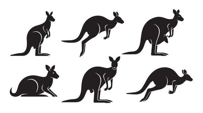 Six kangaroo silhouettes in various poses against a white background with copy space for design