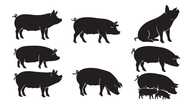 Various farm pigs in silhouette against a white background representing livestock and agriculture concepts