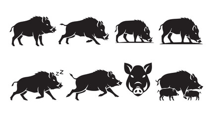 Obraz premium Wild Boar Silhouette Collection Running Grazing Sleeping and Facing Forward with Piglet