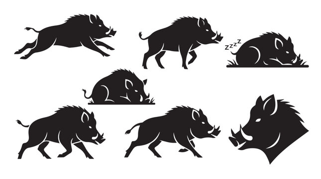Wild boar silhouettes in various poses against a white background with a conceptual representation of nature's power