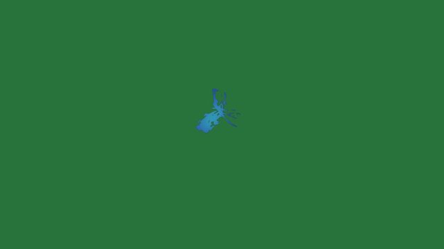 Blue bird flying in the sky silhouette of dragon screen ant an image man green screen style cartoonish elements