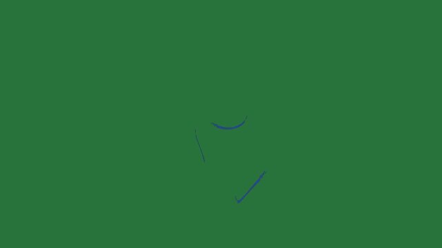Silhouette of bird black blue logo on screen pokemon wallpaper design it person jumping in the air flying drawing green screen